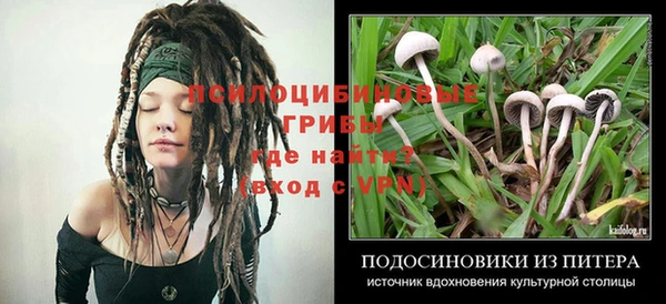 твердый Баксан